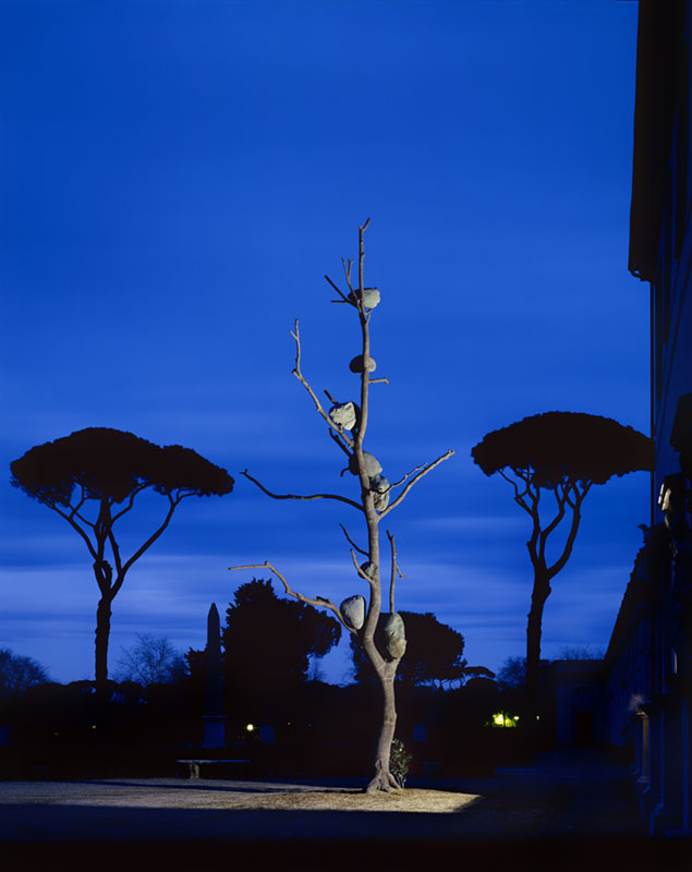 Giuseppe Penone, Accademia di Francia di Villa Medici, Rome, 2008, photo Claudio Abate ©Archivio Claudio Abate